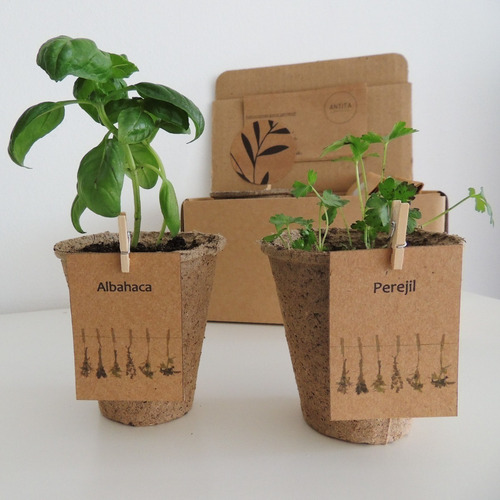 Imagen 4 de 5 de Kit Biodegradable Autocultivo.un Regalo Original Y Ecológico