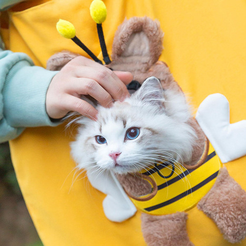 Portador De Gatos Con Cabeza Expuesta, Bolso De Hombro