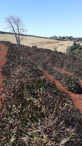 Imagem 1 de 1 de Serviço Rural