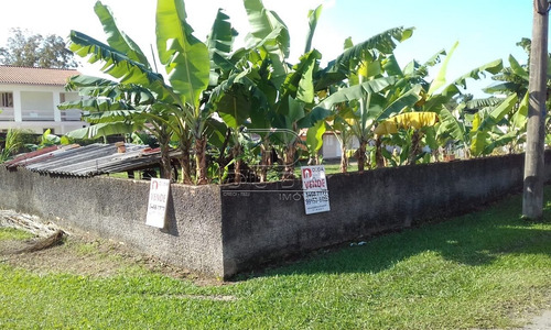 Imagem 2 de 3 de Terreno - Sao Simao - Ref: 33820 - V-33817