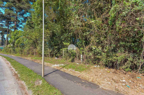 Imagem 17 de 21 de Área - Comercial/residencial - 932545