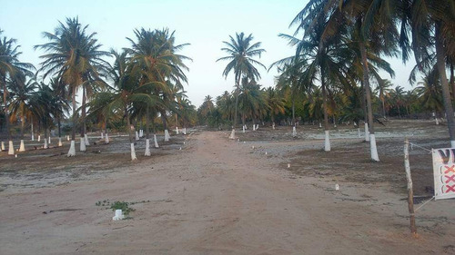 Terreno À Venda Em Icaraízinho De Amontada - Excelente Localização!