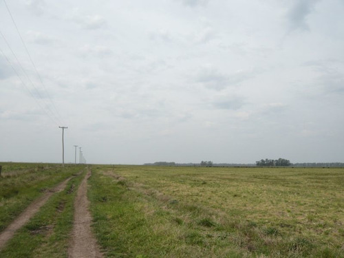 Imagen 6 de 17 de Campo En Cañuelas