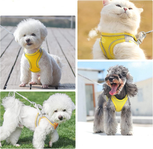Juego De Arnés Ajustable Y Correa Para Perros Y Gatos