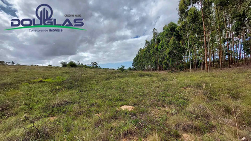 Imagem 1 de 15 de 4 Hectares Ótima Localização - 1714