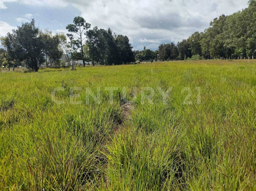 En Venta, Lotes Terrenos, En Comitan De Dominguez