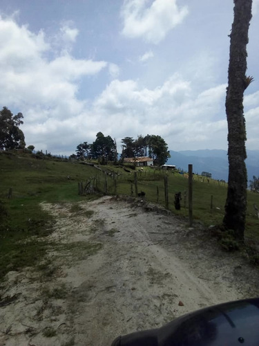 Imagen 11 de 20 de Finca En Casa Via El Padre De 45 Hectáreas