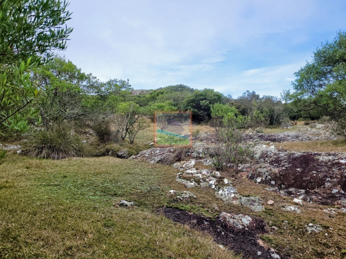 Imagen 30 de 30 de 79 Hás Campo Criador Y Serrano En Corte De La Leña