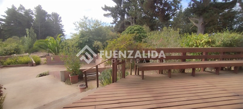 Casa 180 M2 - Terreno 11.200 M2 - Los Pinares De Algarrobo