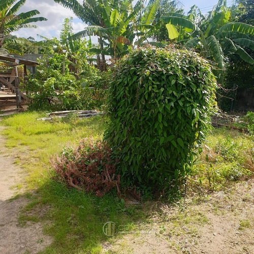 Imagem 1 de 12 de Terreno Com Casa No Alto Perequê! - Te0048-1