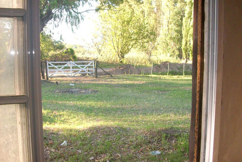 Imagen 4 de 12 de Campo Con Casa En Las Flores ,7 Hectarias,sojero