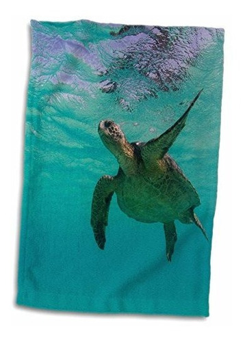 Toalla De Manos 3d Rose Green Sea Turtle Swim-galapagos-ecua