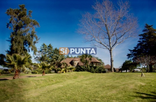 Imagen 7 de 30 de Chacra Importante En R. 39 Con 700 M2. Construidos
