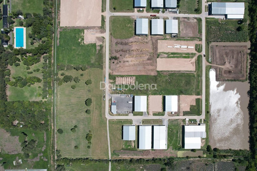 Imagen 5 de 11 de Depósito Galpón En Alquiler Ubicado En Cuartel V, Moreno, G.b.a. Zona Oeste