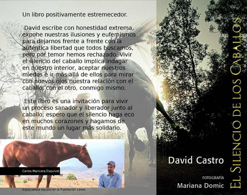 Libro El Silencio De Los Caballos - David Castro