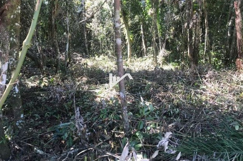 Imagem 4 de 6 de Terreno No Balneário Gaivota, Em Itanhaém=ref;ter015
