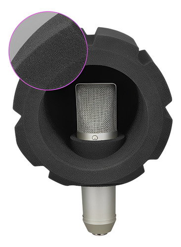 Filtro Anti Pop Micrófono Profesional Pantalla Acústica