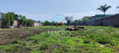 Terreno En Venta En Yecapixtla Con Conexión A Servicios Y Con Bardas Propias