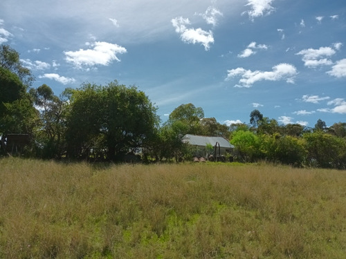 Campo/chacra/en Aigua-maldonado