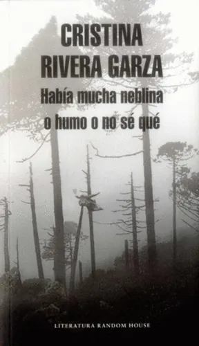 Libro Nuevo Habia Mucha Neblina O Humo O No Se Que
