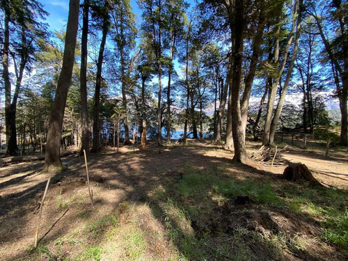 Imagen 19 de 20 de Terreno Sobre Costa Del Lago Moreno - El Trébol