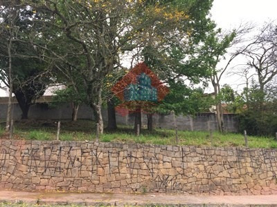 Imagem 6 de 11 de Terreno - Ref: 02816