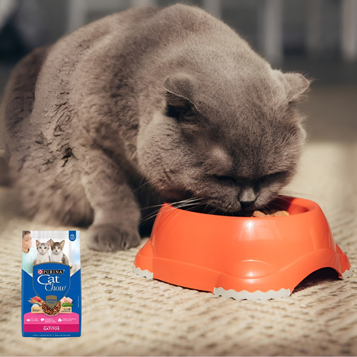 Cat Chow Gatitos 24 Kilos