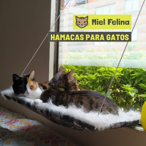 Hamacas De Ventana Para Gatos. Tela De Peluche - Miel Felina