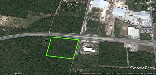 Imagen 7 de 9 de Venta Terreno De 2.8 Has En Mocochá Sobre Carretera Cerca De Mérida