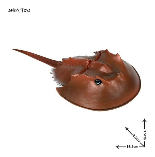 Animales Marinos. Trilobite. 16.5 Cms. Mar Oceano Peces.