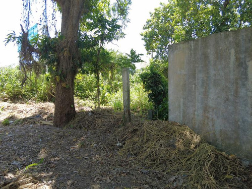 Venta Terreno 1250 M² Col. Manlio Fabio Tuxpan Veracruz