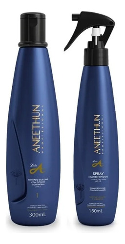Aneethun Linha A Shampoo 300ml + Spray MultibenefĂcios 150ml