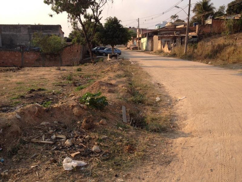 Imagem 6 de 10 de Lote Para Venda Em Ribeirão Das Neves, Florença - L02_1-1236074