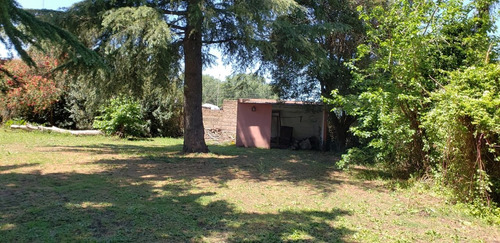Imagen 20 de 21 de Quinta En Venta En Nueve De Julio