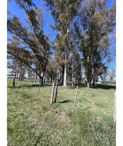 Lote Ubicado A 700 Metros Ruta 41 - San Miguel Del Monte