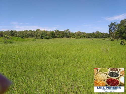 Imagem 3 de 9 de Fazenda À Venda Em Recursolândia -t0 - 3998 Hectares (dupla Aaptidão) - 1592