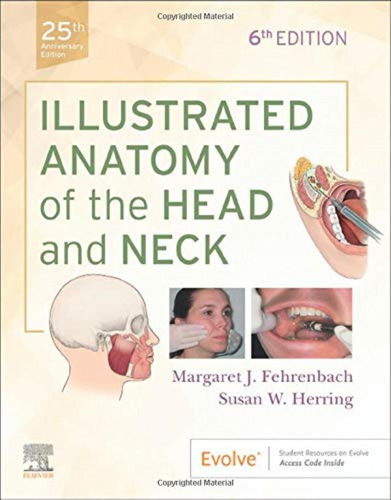 Illustrated Anatomy Of The Head And Neck