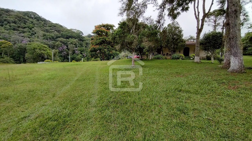 Imagem 7 de 30 de Mini Haras - 213 - 70588973