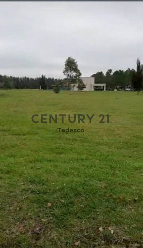 Imagen 10 de 18 de Ruta 2 Km 65, Miralagos Ii. Lote En Venta, La Plata.-
