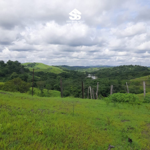 Finca En Venta - Guárico - Granja De Porcina