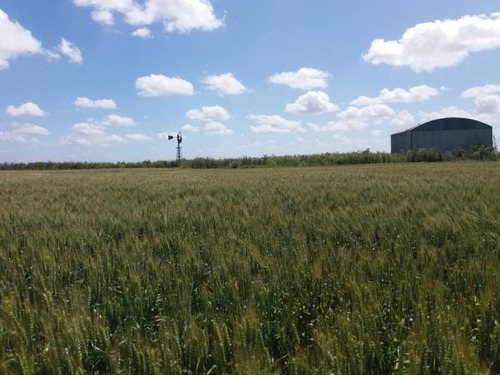 Imagen 6 de 7 de Campo En Venta En Balcarce