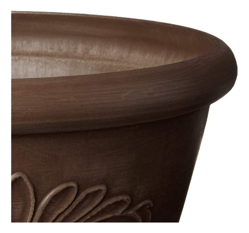 Maceta Poco Profunda Para Suculentas 25 Cm Color Chocolate