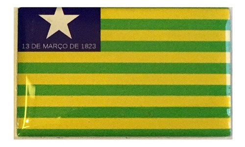 Adesivo Resinado Da Bandeira Do Piauí 9x6 Cm