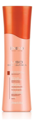 Shampoo Liso Descomplicado Amend Expertise