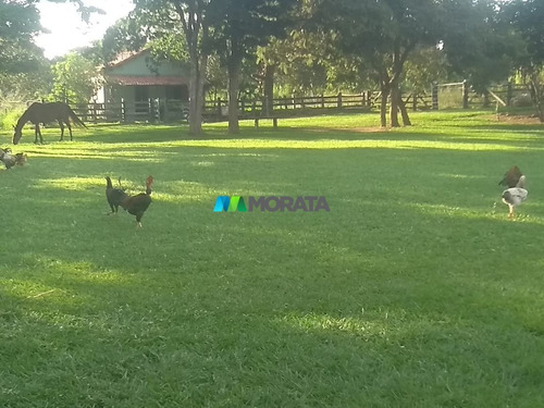 Imagem 2 de 11 de Fazenda - Zona Rural - Ref: 5086 - V-mta5086