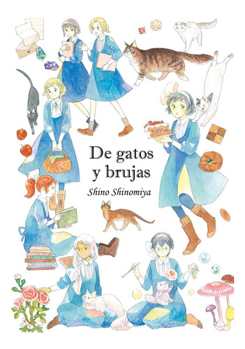 Libro De Gatos Y Brujas - Shinomiya, Shino