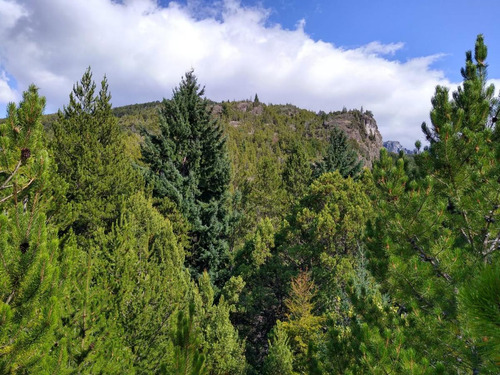 Chacra - Villa Del Lago