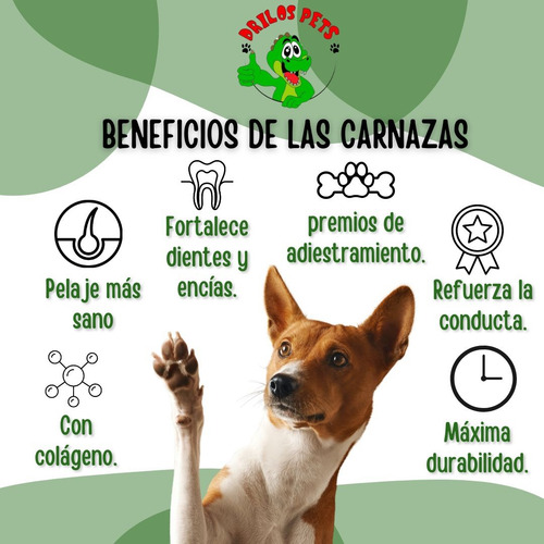 Pata De Pollo Deshidratada Para Perros 1kg