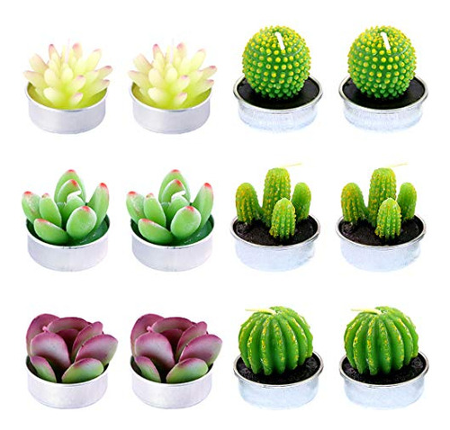 12 Piezas De Velas Decorativas De Cactus Suculentas, Li...