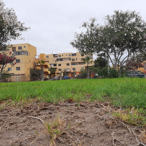 Departamento Cercano A Universidad De Tarapaca